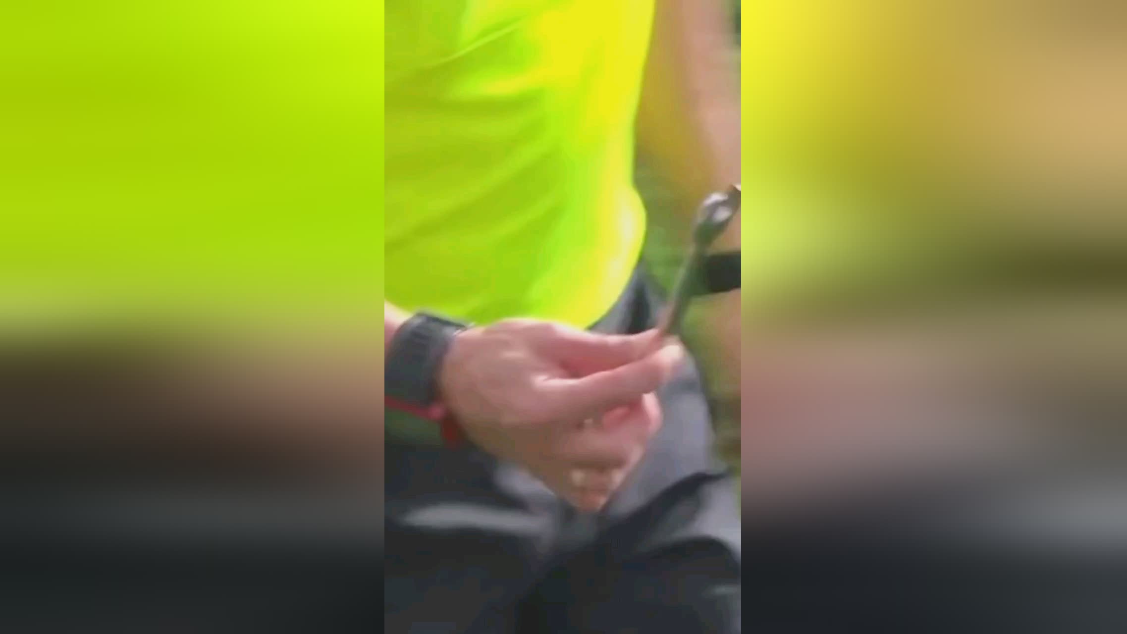 德科亲